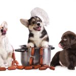 Pet food. Three dogs in chefs clothing on a saucepan against a white background.