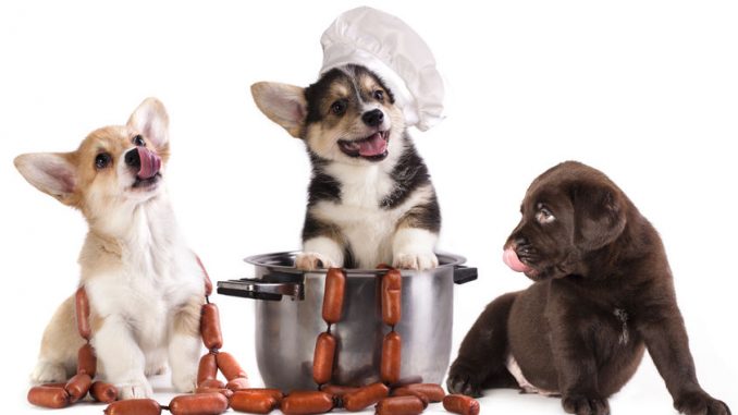 Pet food. Three dogs in chefs clothing on a saucepan against a white background.
