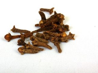 Cloves on a white background.