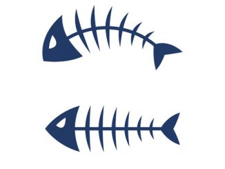 Fish bone skeleton symbol vector icon design.. Measurement of collagen content of fish.