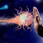 Immunology, immune system