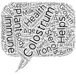 Immune support products and why we need them text background wordcloud concept