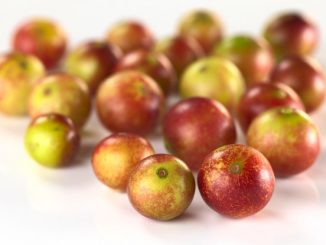 Camu camu berry fruits (lat. myrciaria dubia) which are grown in the amazon region and have a very high vitamin c content (selective focus, focus on the two berries in the front)
