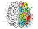 Brain. Personality can affect weight management