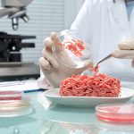 Food quality control expert inspecting a meat specimen in the laboratory. A classic case of food analysis.