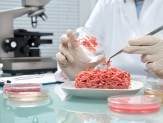 Food quality control expert inspecting a meat specimen in the laboratory. A classic case of food analysis.