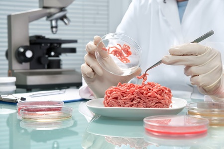 Food quality control expert inspecting a meat specimen in the laboratory. A classic case of food analysis.