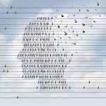 Alzheimer disease concept as a medical mental health care idea as a group of perched birds on an electrical wire flying away shaped as a side profile of a human face as a symbol for neurology and dementia or memory loss.