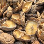 Dried mushroom in a market, closeup of photo. Scource of L-ergothioneine