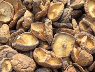 Dried mushroom in a market, closeup of photo. Scource of L-ergothioneine