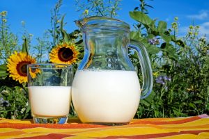Milk in a jug and glass with sunflowers in background.