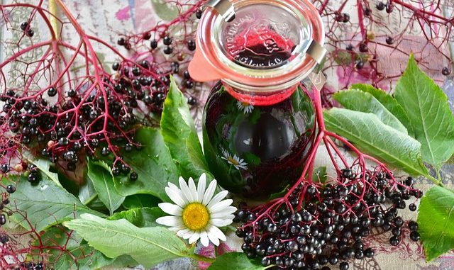 Elderberry juice in a Kilner jar surrounded by elderberries, green leaves and a daisy.