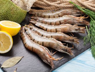 fresh raw tiger prawns and fishing equipment on wooden table