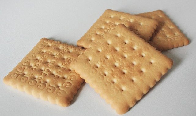 Semi-digestive biscuits, square ones on a white background.