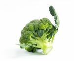 A broccoli floret on a white background.