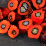Red palm oil