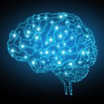 The concept of thinking background with brain.