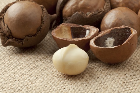 Broken macadamia nuts in nutshells. A source of palmitoleic acid