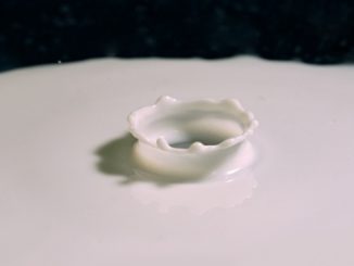 The Gerber Method and the Babcock method. A milk drop just as it enters the milk.