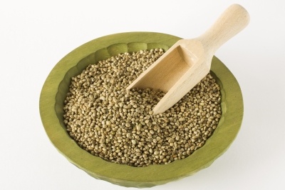 An olive green bowl of hemp seeds with a scoop inserted into the middle. White background.