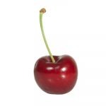 Tart cherry with stalk on a white background.