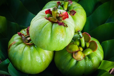 39207683 - still life with fresh garcinia cambogia on wooden background. garcinia is thai herb (south of thailand) and sour flavor lots of vitamin c. low key picture style.closeup