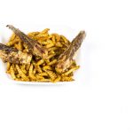 Mealworms and locusts. a Healthy snack