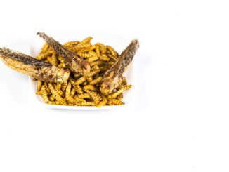 Mealworms and locusts. a Healthy snack