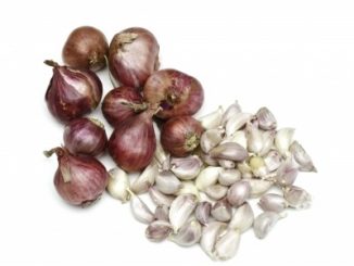Garlic bulbs and cloves on a white background