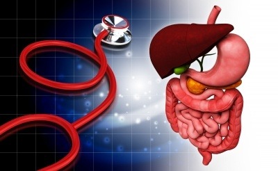 Image of a stethoscope and the intestines with liver.