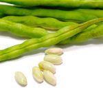 Fresh common beans (kidney beans) isolated on white background