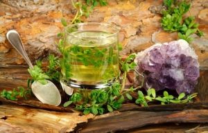 Healing tea from Brahmi ( Bacopa monnieri) used in Ayurveda and in a calming manner. Photo by Martina Osmy. Courtesy 123rf.com