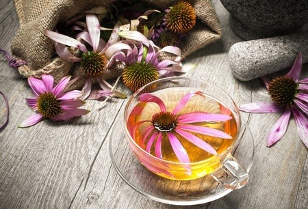 Echinacea in a cup of tea on a wooden table.