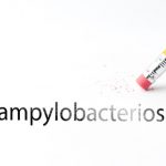 closeup of pencil eraser and black campylobacteriosis text. campylobacteriosis, vibriosis. pencil with eraser.