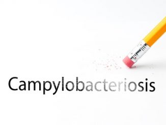 closeup of pencil eraser and black campylobacteriosis text. campylobacteriosis, vibriosis. pencil with eraser.