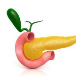 3D image of a pancreas. Site of pancreatic cancer.