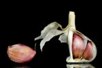 Garlic cloves with one peeled away from the main stem on a black background.