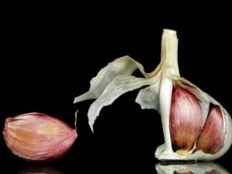 Garlic cloves with one peeled away from the main stem on a black background.