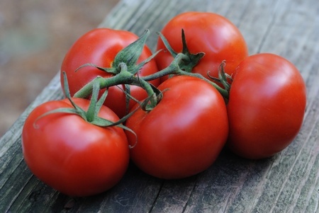Five plump and juicy vine-ripened tomatoes