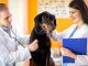 46626543 - veterinarians checking up sick great done dog with stethoscope in vet clinic