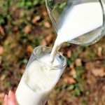 drinking milk reduces cognitive decline
