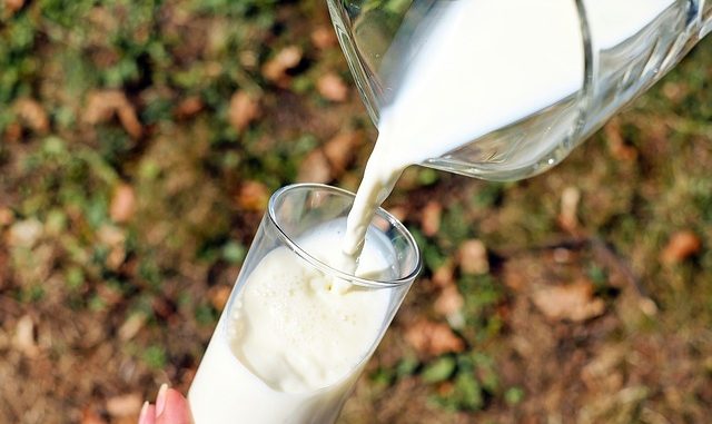 drinking milk reduces cognitive decline