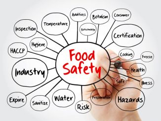 Food safety mind map flowchart with marker. Validation, monitoring and verification
