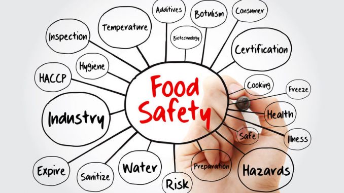 Food safety mind map flowchart with marker. Validation, monitoring and verification