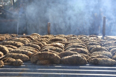 Sea cucumbers in rows on a rack and being dried under a very hot Sun.