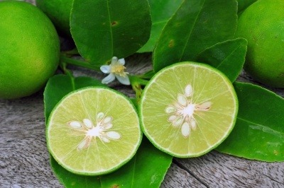 A lime cut in half with a lime flower. It demonstrates how juicy they are.