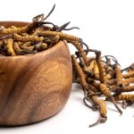Close up Cordycep sinensis (CHONG CAO) or mushroom cordyceps on Wooden bowl on isolated background. Medicinal properties in the treatment of diseases. National organic medicine.