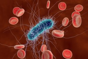 49246115 - escherichia coli in blood with red blood cells, model of bacteria, realistic illustration of microbes, microorganisms, rod-shaped bacteria