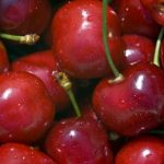 Sweet cherry - very ripe dark red cherries with stems.
