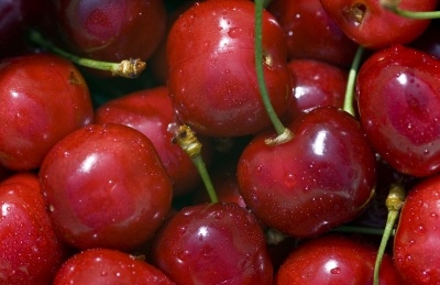 Sweet cherry - very ripe dark red cherries with stems.
